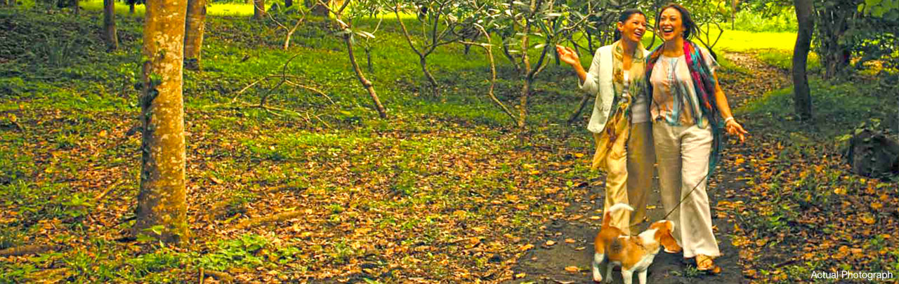 Ayala Greenfield Estates