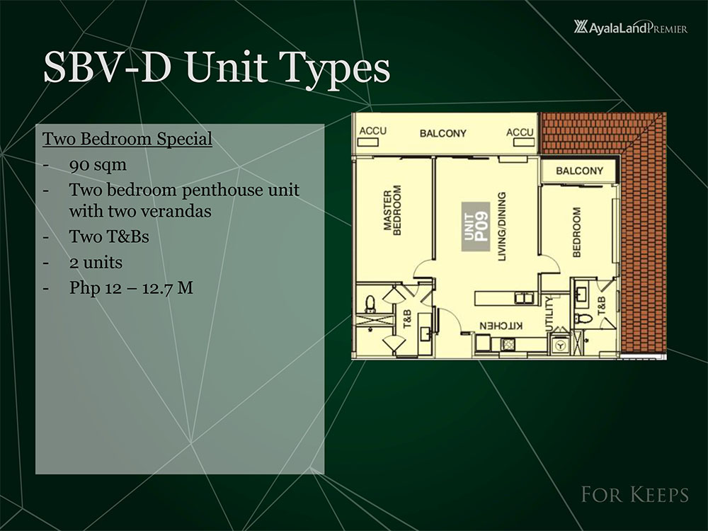 Ayala Land Properties | Blue Dimalanta